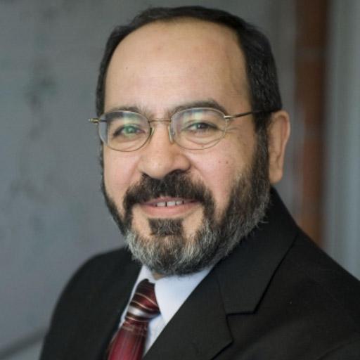 Prof. Ahmed Kishk